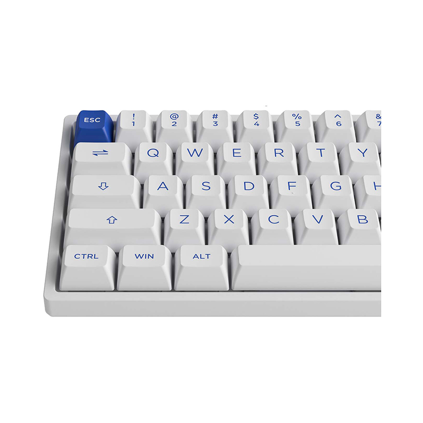 https://dailongpc.vn/72009_ban_phim_co_khong_day_akko_3068b_plus_multi_modes_blue_on_white_0004_5